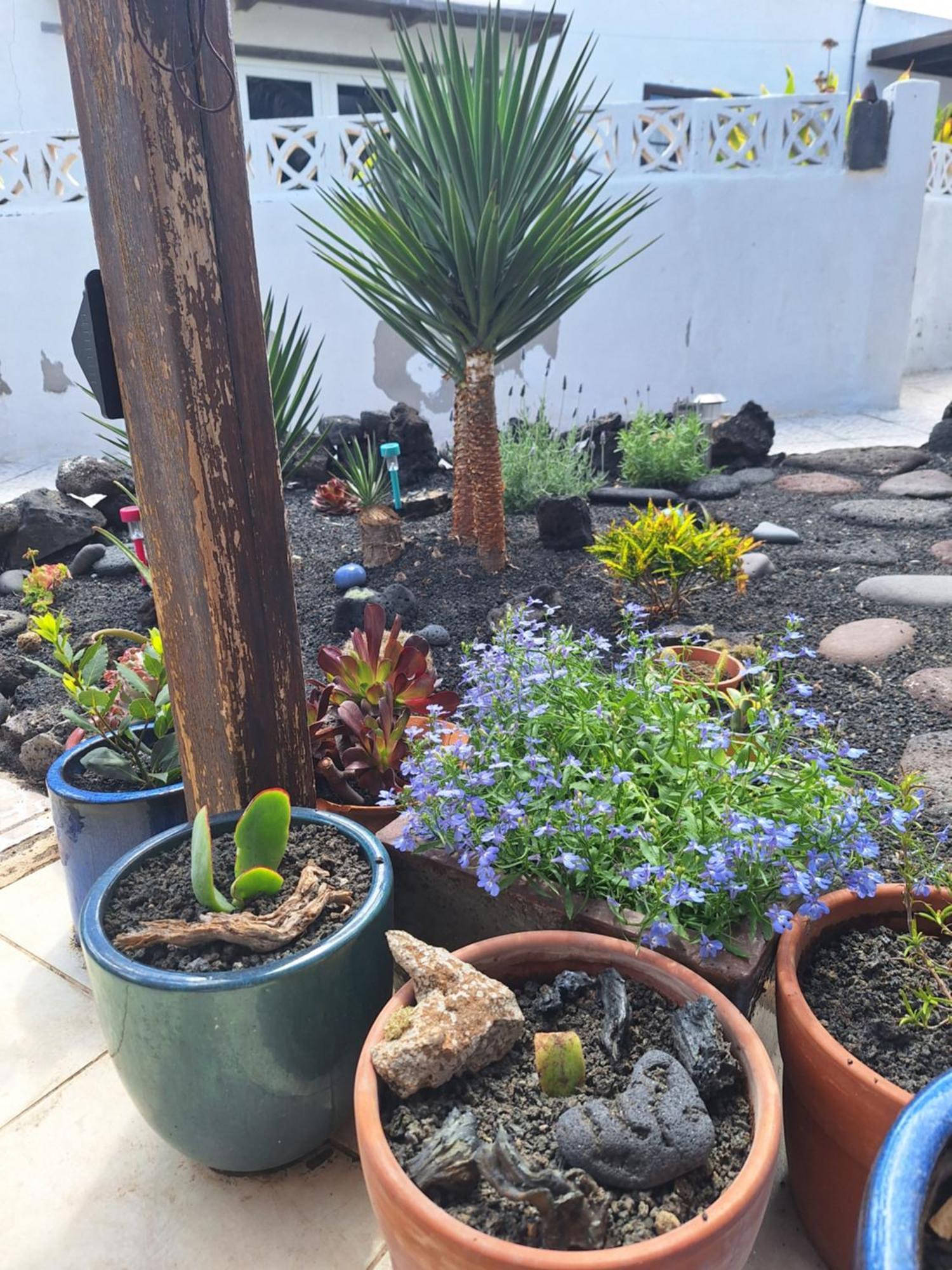 Casita Pequena Lanzarote Villa Teguise  Exterior photo